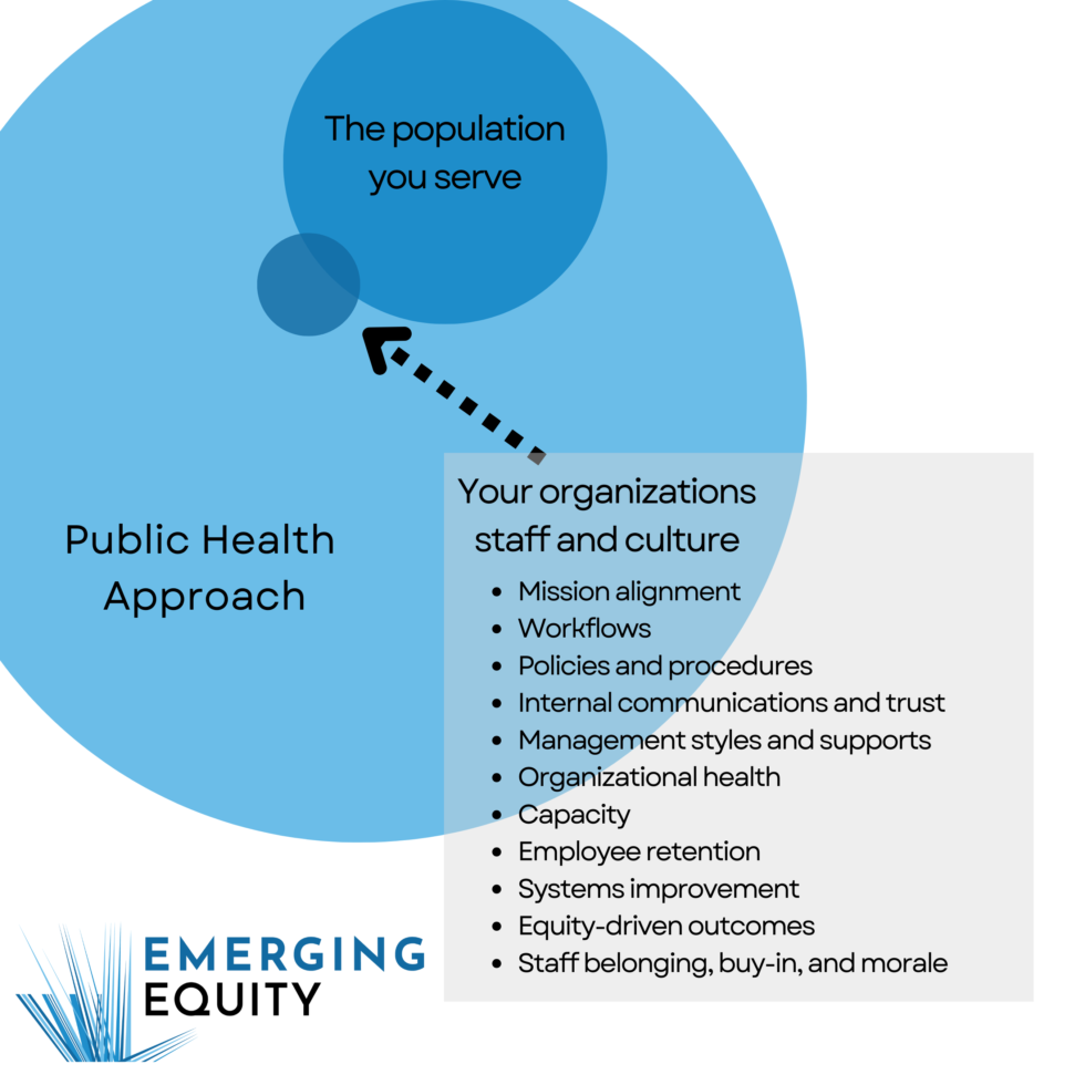 Health Systems | Emerging Equity